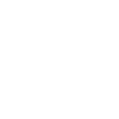 SkyZone